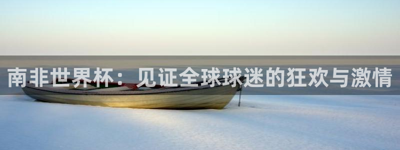 亚洲区世界杯预选赛：南非世界杯：见证全球球迷的狂欢与激情