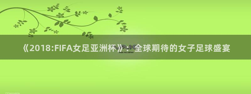 足球世界杯2026年赛程时间表:《2018:FIFA女足亚洲杯》:全球期待的女子足球盛宴