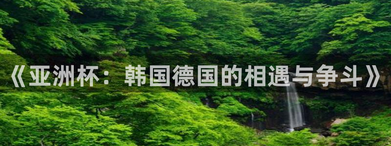 世界杯球队：《亚洲杯：韩国德国的相遇与争斗》