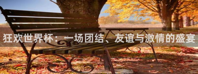 世界杯预选赛欧洲区赛程：狂欢世界杯：一场团结、友谊与激情的盛宴