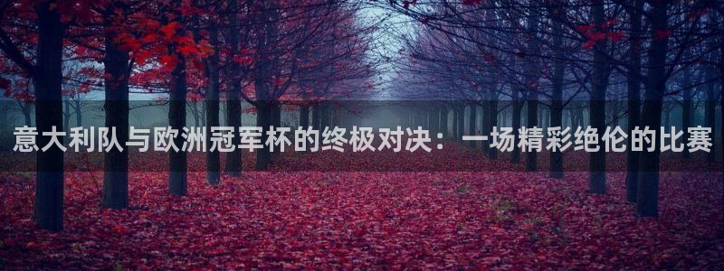 世界杯亚洲区预选赛积分榜：意大利队与欧洲冠军杯的终极对决：一场精彩绝伦的比赛