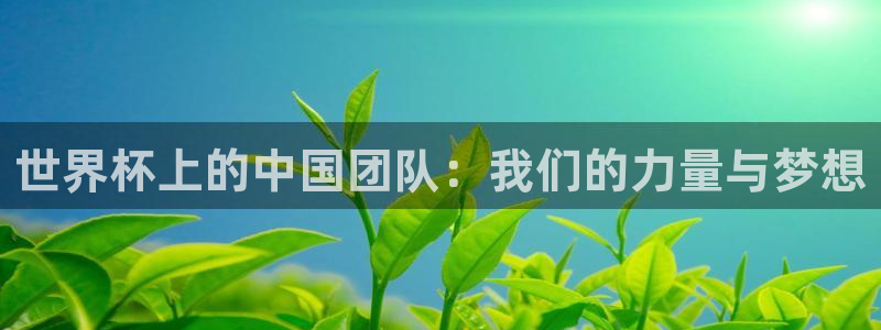2026世界杯南美区积分榜：世界杯上的中国团队：我们的力量与梦想