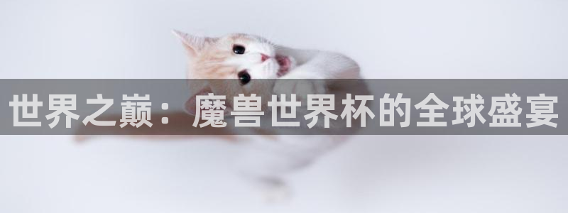 英足总杯直播：世界之巅：魔兽世界杯的全球盛宴