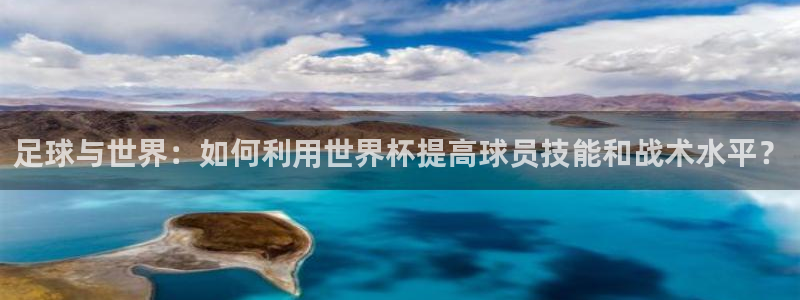 世界杯欧洲区预选赛：足球与世界：如何利用世界杯提高球员技能和战术水平？