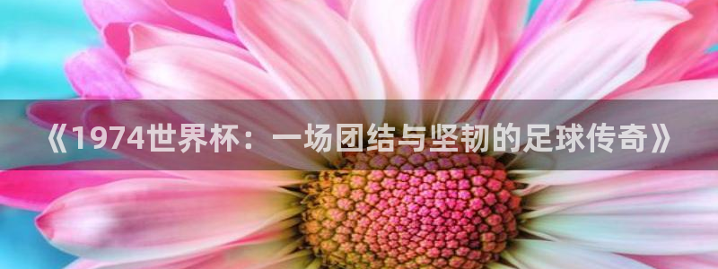 2026世界杯赛程时间表最新：《1974世界杯：一场团结与坚韧的足球传奇》