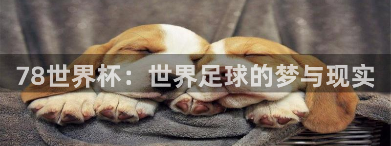 足球世界杯赛程：78世界杯：世界足球的梦与现实