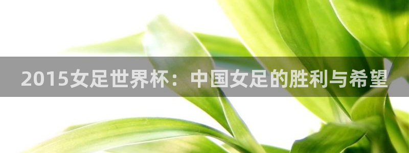 世界杯对阵图2026：2015女足世界杯：中国女足的胜利与希望